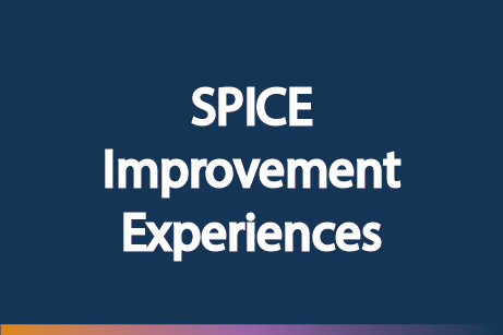 SPICE Improvement Experiences (ZF)